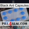 Black Ant Capsules 21